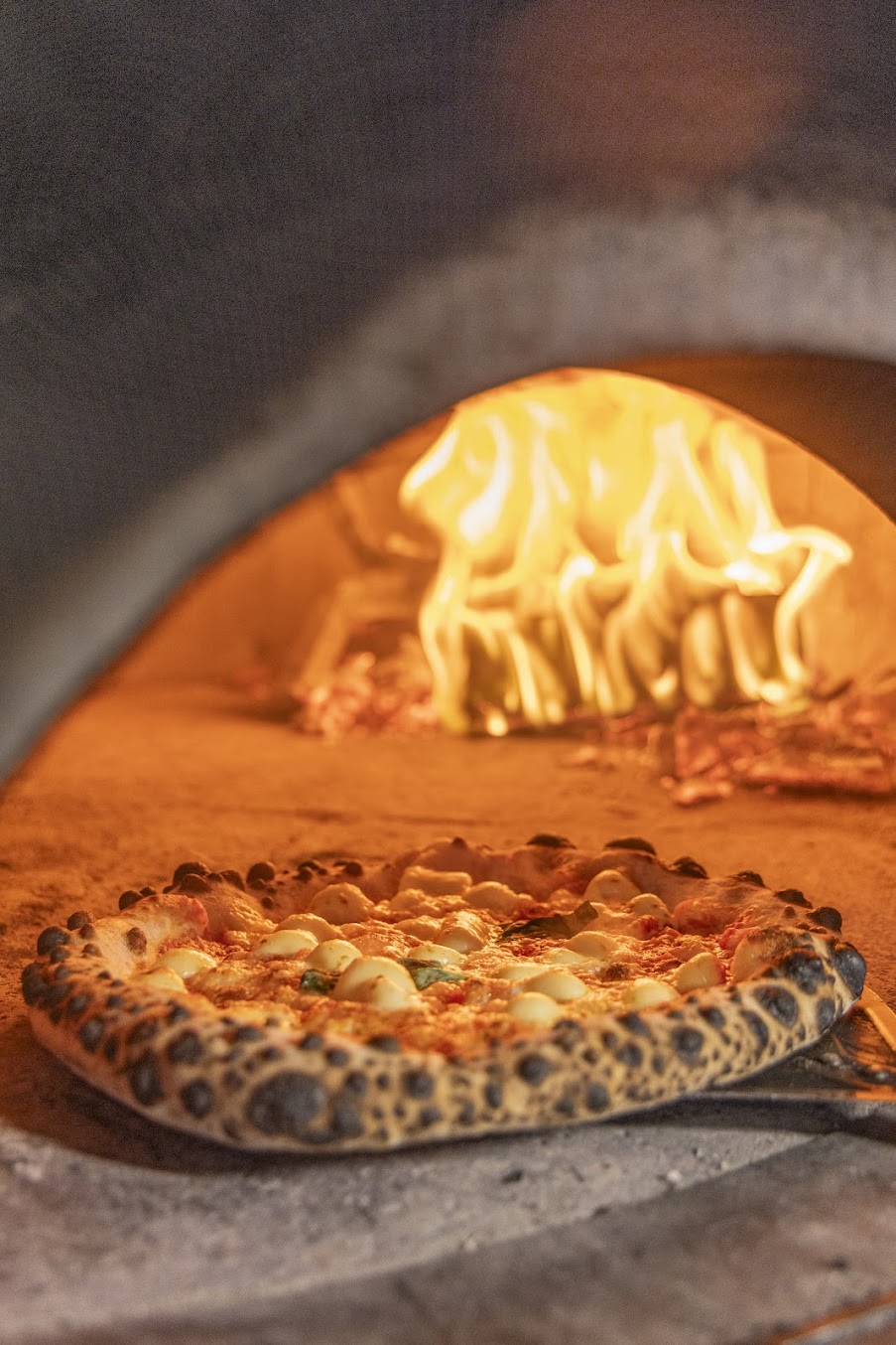 AF1QipMRE6hYq3EuHICtmTwTFsJIiZsDZZGiKagiTUV3-s1354-k-no Fired up Pizza